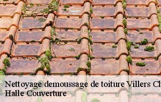 Nettoyage demoussage de toiture