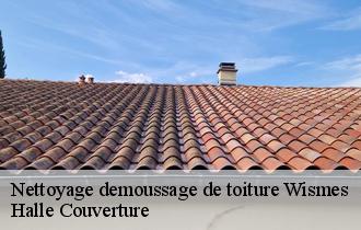 Nettoyage demoussage de toiture wismes-62380 Halle Couverture