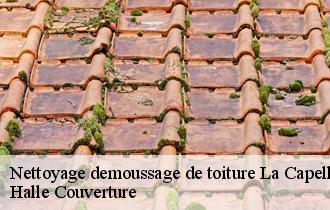 Nettoyage demoussage de toiture