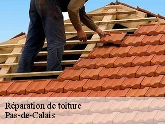 Réparation de toiture Pas-de-Calais 