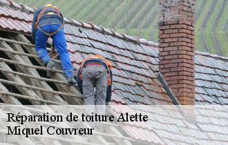 Réparation de toiture  alette-62650 Miquel Couvreur