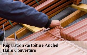 Réparation de toiture  62260