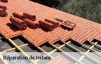 Réparation de toiture  62260