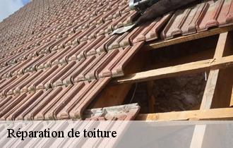 Réparation de toiture