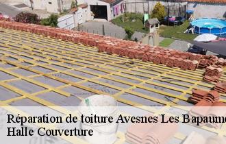 Réparation de toiture avesnes-les-bapaume-62450 Dh Couverture