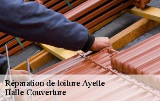 Réparation de toiture  62116