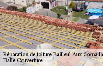 Réparation de toiture  bailleul-aux-cornailles-62127 Halle Couverture