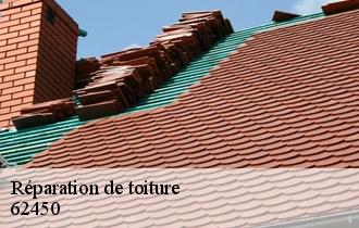 Réparation de toiture  62450