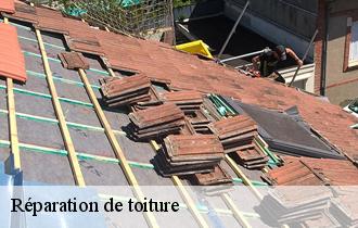 Réparation de toiture