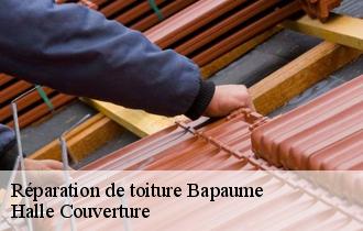 Réparation de toiture  62450
