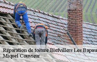 Réparation de toiture  biefvillers-les-bapaume-62450 Miquel Couvreur