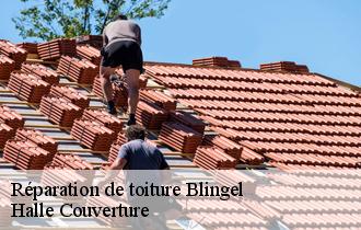 Réparation de toiture