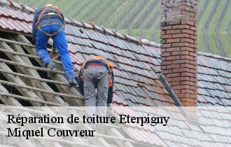 Réparation de toiture  eterpigny-62156 Miquel Couvreur