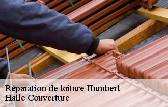 Réparation de toiture  62650