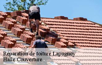 Réparation de toiture