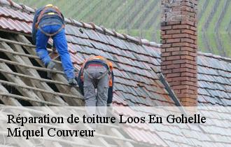 Réparation de toiture  loos-en-gohelle-62750 Miquel Couvreur