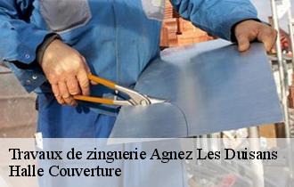 Travaux de zinguerie agnez-les-duisans-62161 Halle Couverture