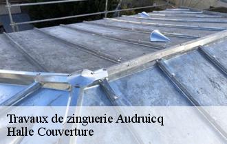 Travaux de zinguerie  62370