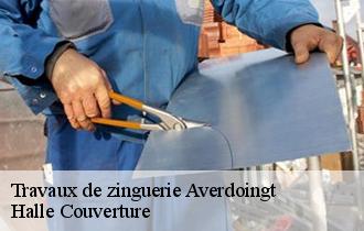 Travaux de zinguerie  averdoingt-62127 Halle Couverture