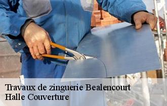 Travaux de zinguerie  bealencourt-62770 Halle Couverture