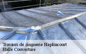 Travaux de zinguerie  62124