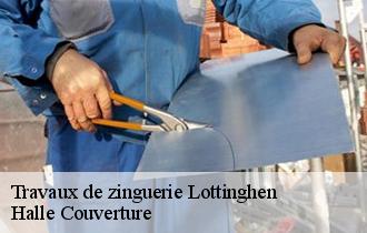 Travaux de zinguerie  lottinghen-62240 Halle Couverture