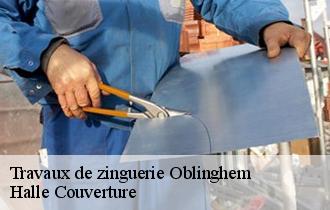 Travaux de zinguerie  oblinghem-62920 Halle Couverture