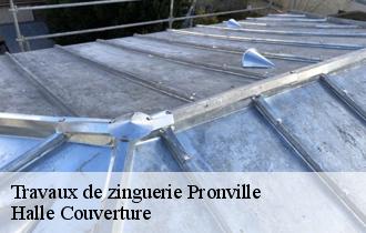 Travaux de zinguerie  62860