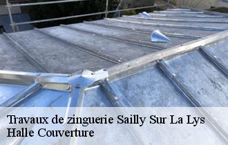 Travaux de zinguerie  62840