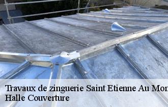 Travaux de zinguerie  62360