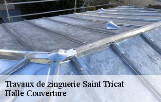 Travaux de zinguerie  62185