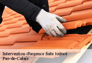 Intervention d'urgence fuite toiture  Pas-de-Calais 