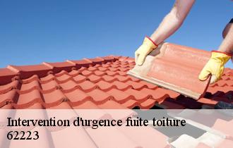 Intervention d'urgence fuite toiture 62223
