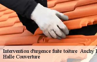 Intervention d'urgence fuite toiture