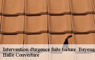Intervention d'urgence fuite toiture bayenghem-les-seninghem-62380 Halle Couverture
