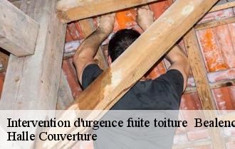 Intervention d'urgence fuite toiture 62770