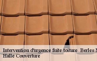 Intervention d'urgence fuite toiture berles-monchel-62690 Halle Couverture