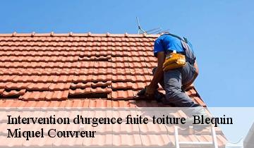 Intervention d'urgence fuite toiture   blequin-62380 Miquel Couvreur