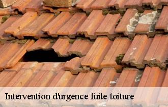 Intervention d'urgence fuite toiture