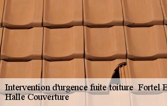 Intervention d'urgence fuite toiture fortel-en-artois-62270 Halle Couverture