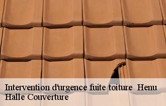 Intervention d'urgence fuite toiture henu-62760 Halle Couverture