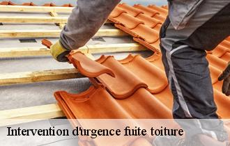 Intervention d'urgence fuite toiture 62850