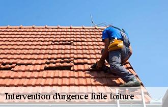 Intervention d'urgence fuite toiture