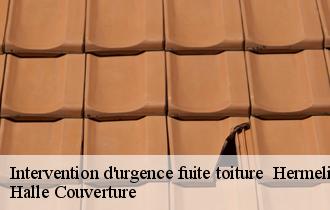 Intervention d'urgence fuite toiture hermelinghen-62132 Halle Couverture
