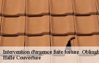 Intervention d'urgence fuite toiture   oblinghem-62920 Halle Couverture