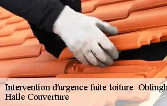 Intervention d'urgence fuite toiture 