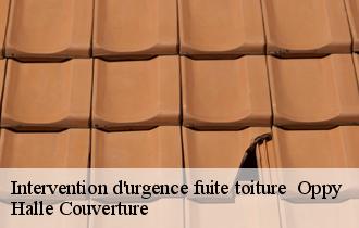 Intervention d'urgence fuite toiture oppy-62580 Halle Couverture