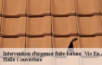 Intervention d'urgence fuite toiture vis-en-artois-62156 Halle Couverture