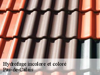 Hydrofuge incolore et coloré Pas-de-Calais 