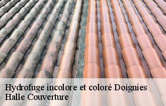 Hydrofuge incolore et coloré doignies-62147 Halle Couverture